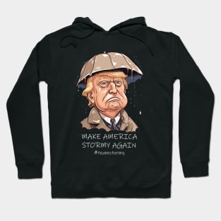 Make America Stormy Again Hoodie